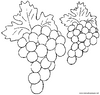 Lamina para colorear Dibujos de Frutas. uvas